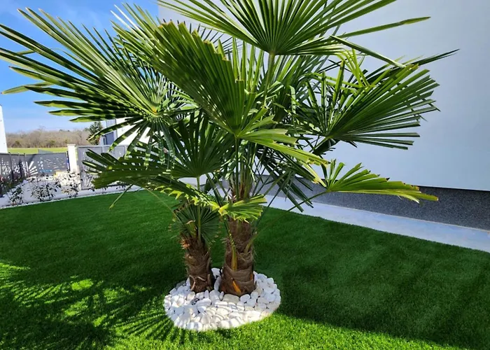 Luxury Modern Keti-private Pool&garden Porec