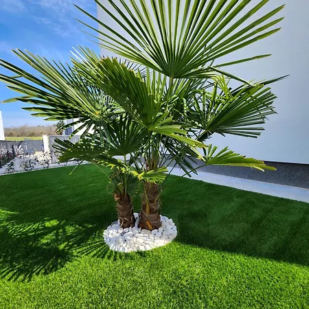 Luxury Modern Keti-private Pool&garden Porec